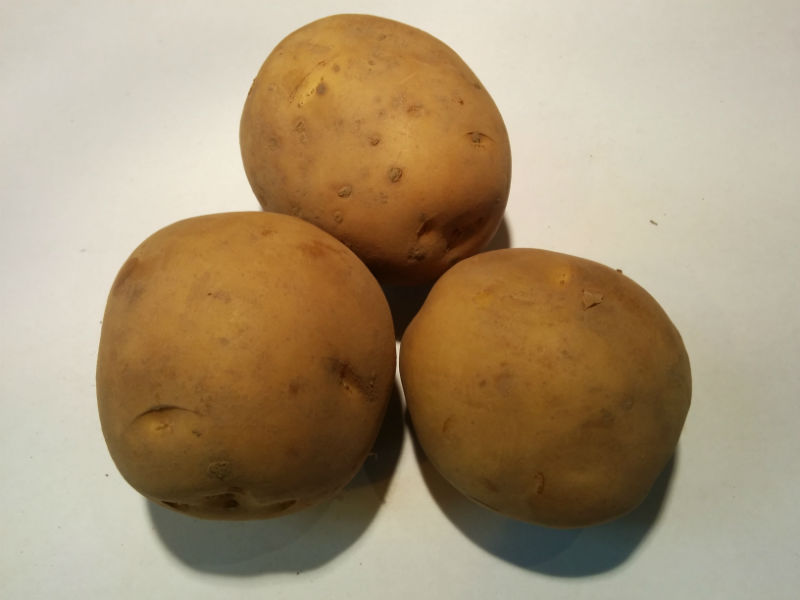 Marfona Seed Potatoes