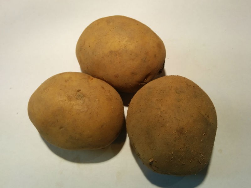 Maris Piper Seed Potatoes